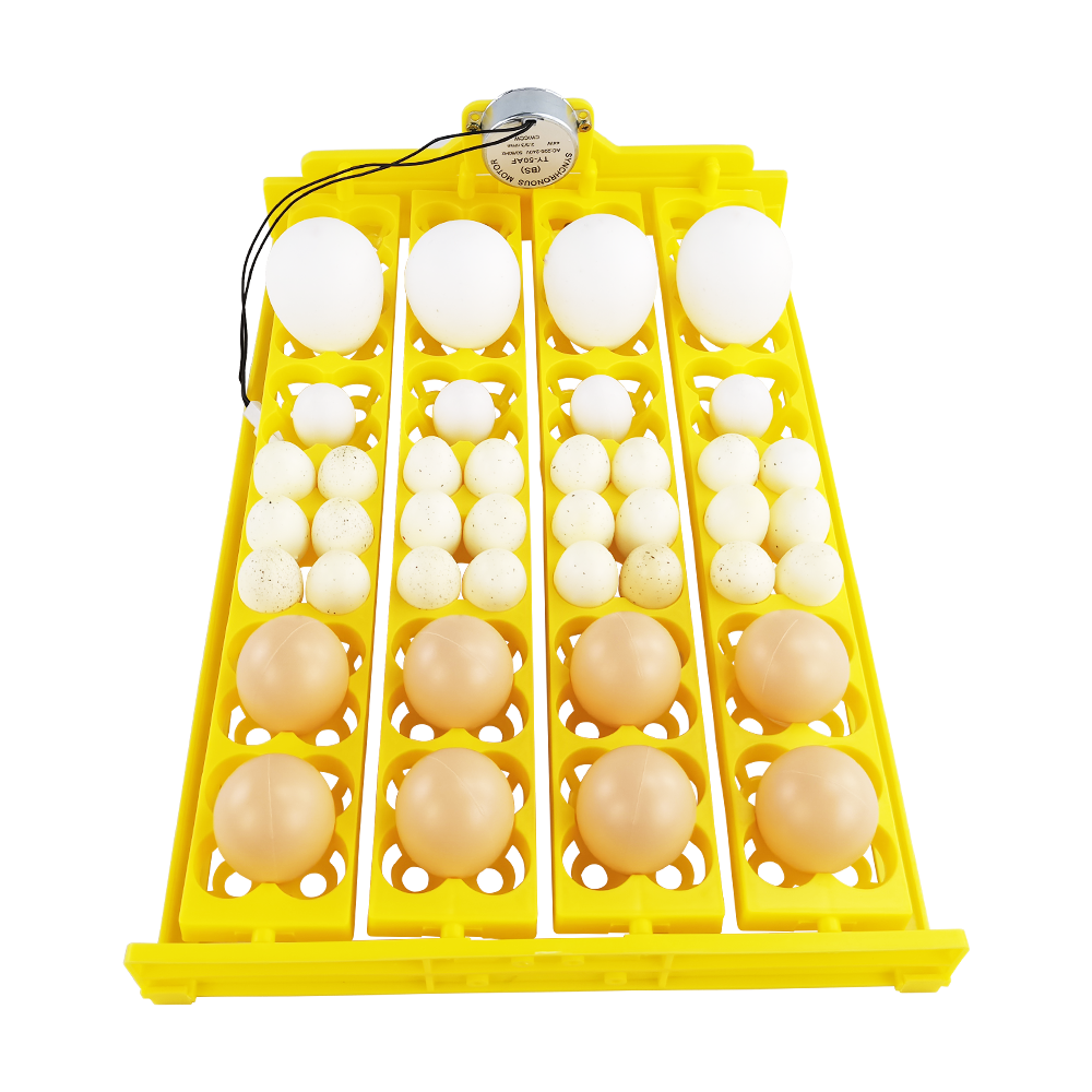 Egg Tray Used For Incubator Incubator Trays Egg Tray Quail Egg Buy